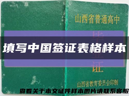 填写中国签证表格样本缩略图