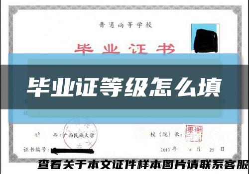 毕业证等级怎么填缩略图