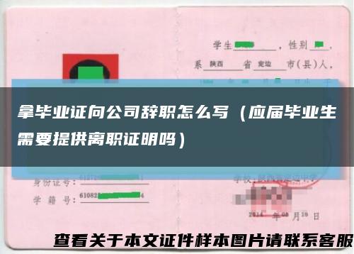 拿毕业证向公司辞职怎么写（应届毕业生需要提供离职证明吗）缩略图