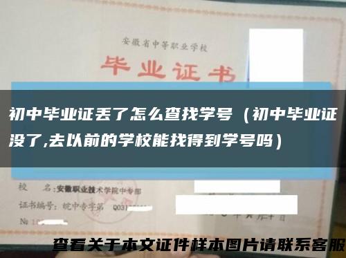 初中毕业证丢了怎么查找学号（初中毕业证没了,去以前的学校能找得到学号吗）缩略图