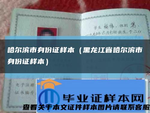 哈尔滨市身份证样本（黑龙江省哈尔滨市身份证样本）缩略图