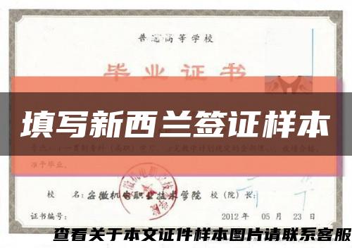 填写新西兰签证样本缩略图