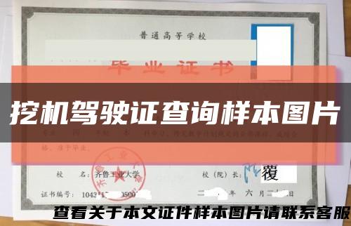 挖机驾驶证查询样本图片缩略图