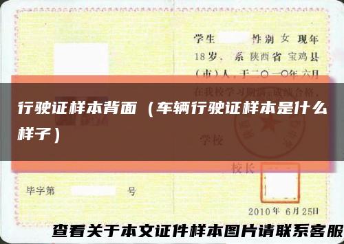 行驶证样本背面（车辆行驶证样本是什么样子）缩略图