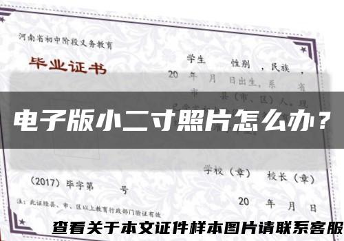 电子版小二寸照片怎么办？缩略图
