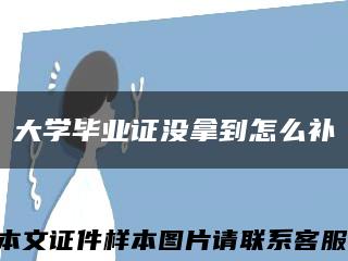 大学毕业证没拿到怎么补缩略图