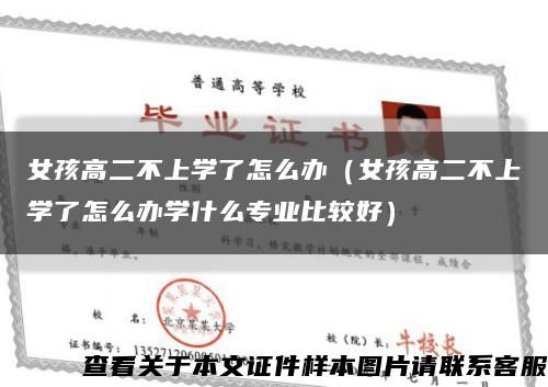 女孩高二不上学了怎么办（女孩高二不上学了怎么办学什么专业比较好）缩略图