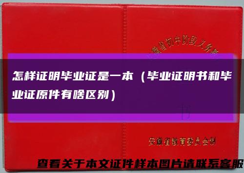 怎样证明毕业证是一本（毕业证明书和毕业证原件有啥区别）缩略图