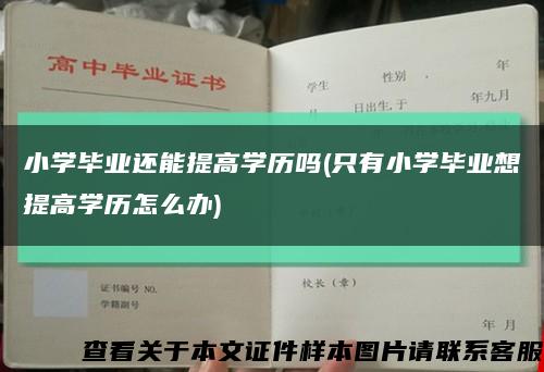 小学毕业还能提高学历吗(只有小学毕业想提高学历怎么办)缩略图