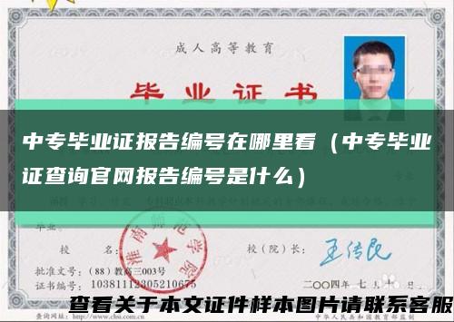 中专毕业证报告编号在哪里看（中专毕业证查询官网报告编号是什么）缩略图
