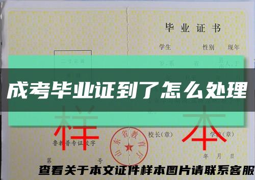 成考毕业证到了怎么处理缩略图