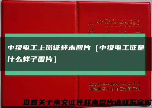 中级电工上岗证样本图片（中级电工证是什么样子图片）缩略图