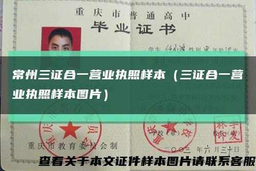 常州三证合一营业执照样本（三证合一营业执照样本图片）缩略图