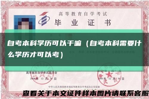 自考本科学历可以干嘛（自考本科需要什么学历才可以考）缩略图