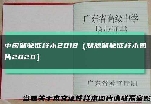 中国驾驶证样本2018（新版驾驶证样本图片2020）缩略图
