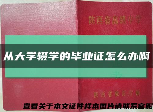 从大学辍学的毕业证怎么办啊缩略图