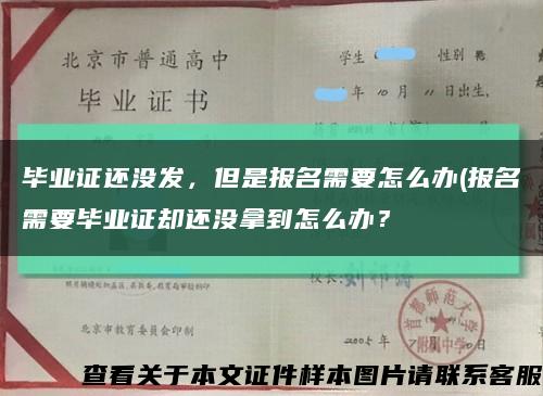 毕业证还没发，但是报名需要怎么办(报名需要毕业证却还没拿到怎么办？缩略图