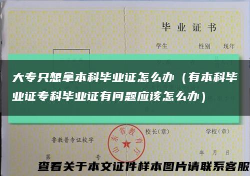 大专只想拿本科毕业证怎么办（有本科毕业证专科毕业证有问题应该怎么办）缩略图