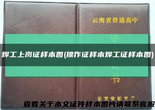 焊工上岗证样本图(操作证样本焊工证样本图)缩略图