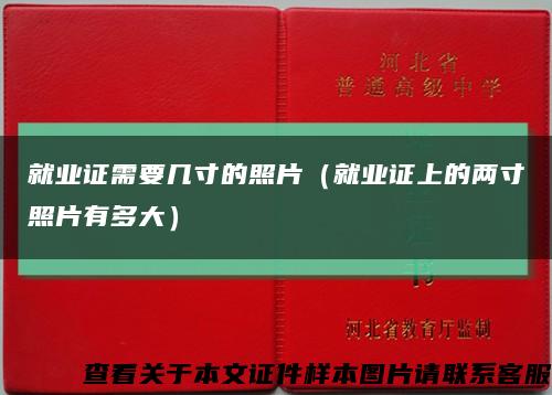 就业证需要几寸的照片（就业证上的两寸照片有多大）缩略图