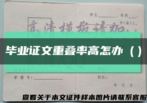 毕业证文重叠率高怎办（）缩略图