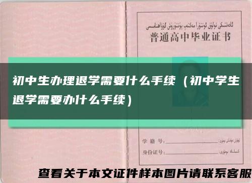 初中生办理退学需要什么手续（初中学生退学需要办什么手续）缩略图