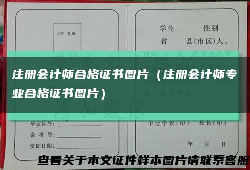 注册会计师合格证书图片（注册会计师专业合格证书图片）缩略图