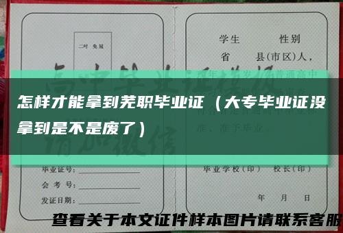 怎样才能拿到芜职毕业证（大专毕业证没拿到是不是废了）缩略图