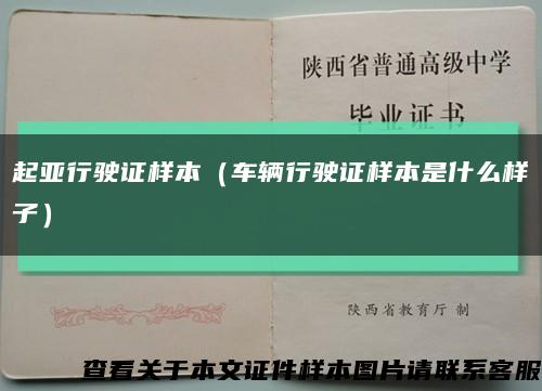 起亚行驶证样本（车辆行驶证样本是什么样子）缩略图