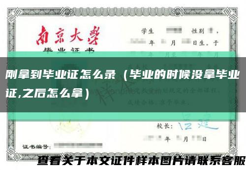 刚拿到毕业证怎么录（毕业的时候没拿毕业证,之后怎么拿）缩略图