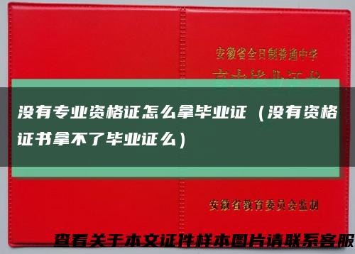 没有专业资格证怎么拿毕业证（没有资格证书拿不了毕业证么）缩略图