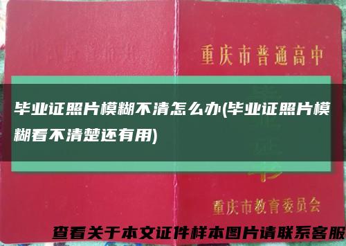 毕业证照片模糊不清怎么办(毕业证照片模糊看不清楚还有用)缩略图