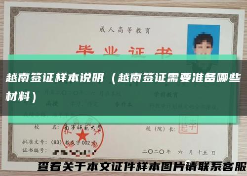 越南签证样本说明（越南签证需要准备哪些材料）缩略图