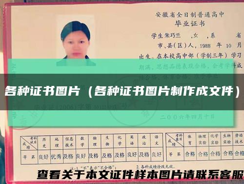 各种证书图片（各种证书图片制作成文件）缩略图