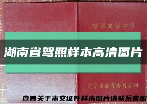 湖南省驾照样本高清图片缩略图