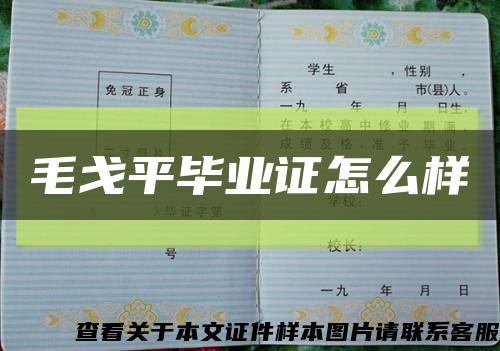 毛戈平毕业证怎么样缩略图