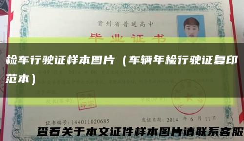 检车行驶证样本图片（车辆年检行驶证复印范本）缩略图