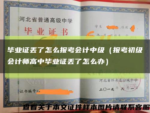 毕业证丢了怎么报考会计中级（报考初级会计师高中毕业证丢了怎么办）缩略图