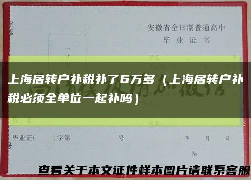 上海居转户补税补了6万多（上海居转户补税必须全单位一起补吗）缩略图