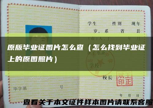原版毕业证图片怎么查（怎么找到毕业证上的原图照片）缩略图