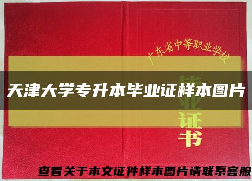 天津大学专升本毕业证样本图片缩略图