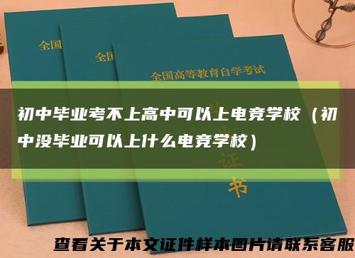 初中毕业考不上高中可以上电竞学校（初中没毕业可以上什么电竞学校）缩略图