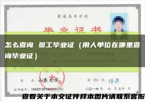 怎么查询 员工毕业证（用人单位在哪里查询毕业证）缩略图