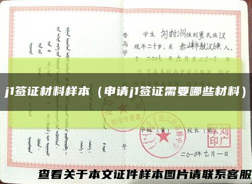 j1签证材料样本（申请j1签证需要哪些材料）缩略图