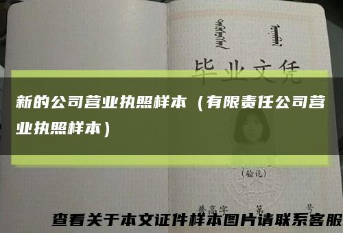 新的公司营业执照样本（有限责任公司营业执照样本）缩略图