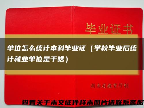 单位怎么统计本科毕业证（学校毕业后统计就业单位是干啥）缩略图
