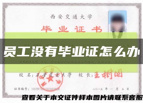 员工没有毕业证怎么办缩略图