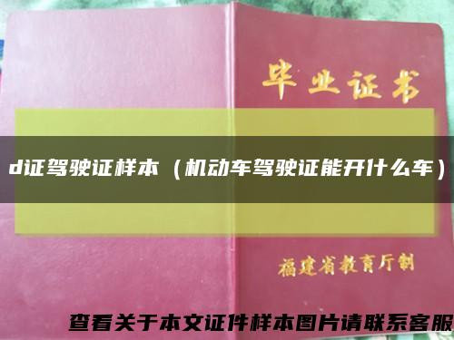 d证驾驶证样本（机动车驾驶证能开什么车）缩略图