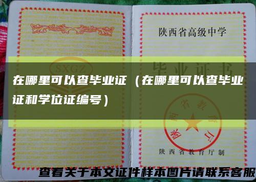 在哪里可以查毕业证（在哪里可以查毕业证和学位证编号）缩略图