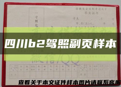 四川b2驾照副页样本缩略图
